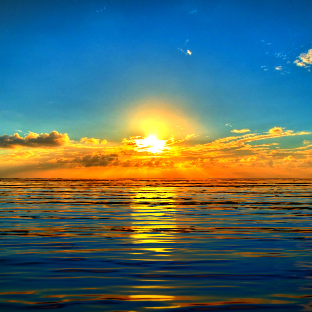 Meet your Posher, Shanda